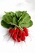 A bunch of radishes with green leaves