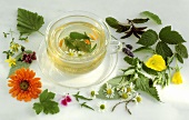 Herb tea in glass cup surrounded by fresh herbs