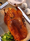 Goose Stuffed with Bacon and Corn