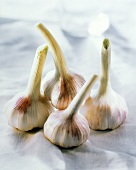 Four Garlic Bulbs
