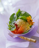 Grapefruit and Spinach Salad with Fennel and Sprouts