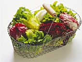 Mehrere Salate in einem Drahtkorb