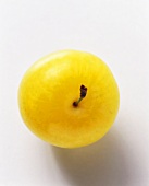 A Yellow Plum