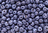 Blueberries