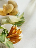 Cleaned carrots with rocket in bowl, fennel, potatoes