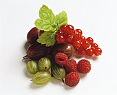 Various berries with redcurrant leaf