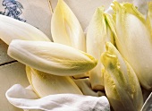 Fresh chicory with white cloth on tile background