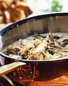 Mushroom sauce with cream and parsley in a pan