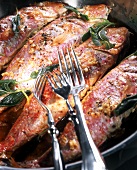 Fried red mullet with sage leaves in pan