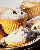 Blueberry Muffins mit Puderzucker