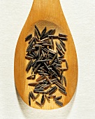 Wild rice on a wooden spoon