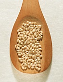 Calasparra rice on a wooden spoon