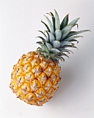 A pineapple on light background