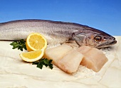 Hake with two hake fillets, lemons and parsley