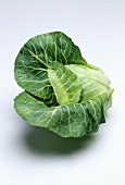 A pointed cabbage with drop of water on a light background