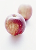 Two nectarines on white background