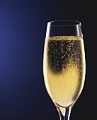 A glass of champagne against dark-blue background