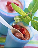 Raspberry whip & raspberries in beakers with spoon; mint sprig