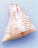 Pike-perch fillet on a light background