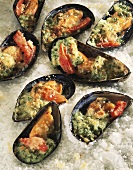 Gratin of mussels with tomatoes on coarse salt