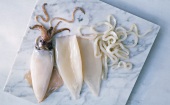 Squid, cuttlefish sacs and cuttlefish rings