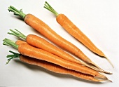 Carrots on white background