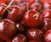 Fresh cherries with drops of water (Close-up)