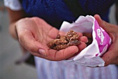 Hand holding roasted almonds