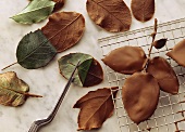 Chocolate leaves on cake rack and marble platter