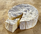 Camembert, cut into, on a brown background