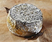 Chataignier, a French goat's cheese