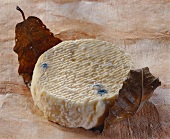 Mothais, a French goat's cheese, on a leaf