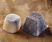 Toucy and Valencay, French goat's cheeses