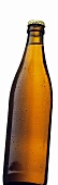 Beer in Bottle