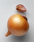 An onion and cloves of garlic