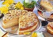 Bee sting cake with almond cream for Easter