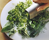 Chopping fresh herbs with one-handed chopping knife