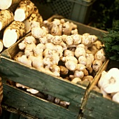 Fresh ginger roots in crates at the market