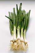 Spring onions on white background