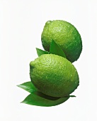 Two limes with leaves