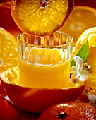 Orangensaft im Glas, darüber Orangenscheibe mit Safttropfen