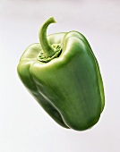 A green pepper with stalk