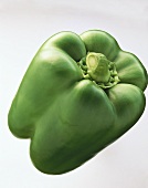 A green pepper with a short stalk