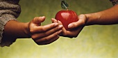 Weibliche Hände halten einen roten Apfel