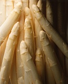 White asparagus with drops of water (close-up)