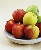 Various apples on a stone plate