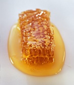 Honeycomb with Honey