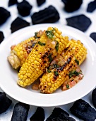 Grilled corncobs with coriander butter on plate