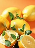 Zitronen und frische Minzeblätter