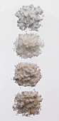 Various types of flour (wholemeal, wheat flour)
